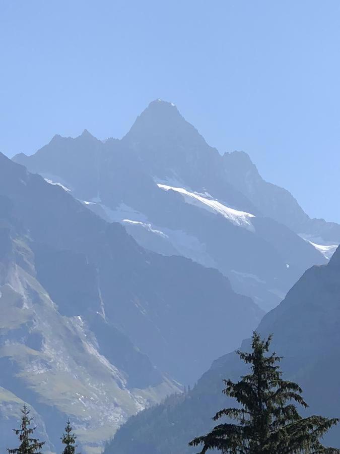 Romantisches Plaetzchen In Der Natur Grindelwald Buitenkant foto