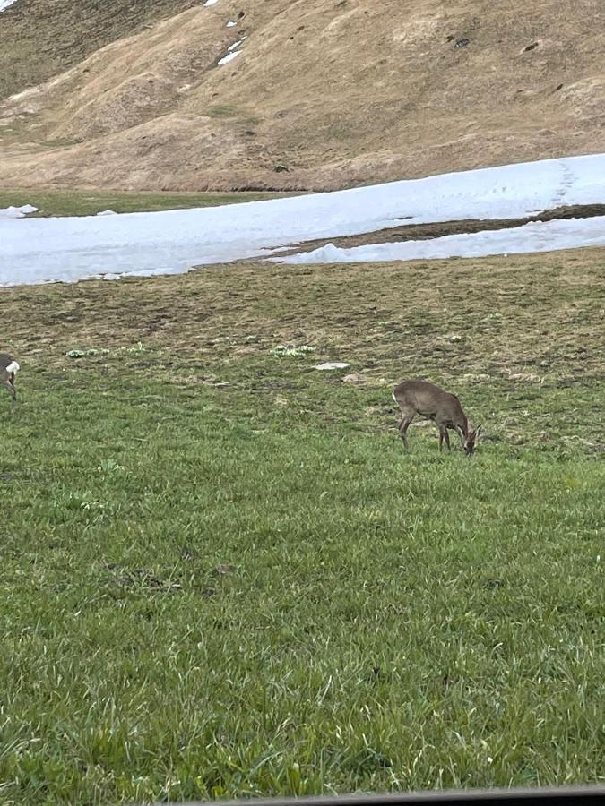 Romantisches Plaetzchen In Der Natur Grindelwald Buitenkant foto