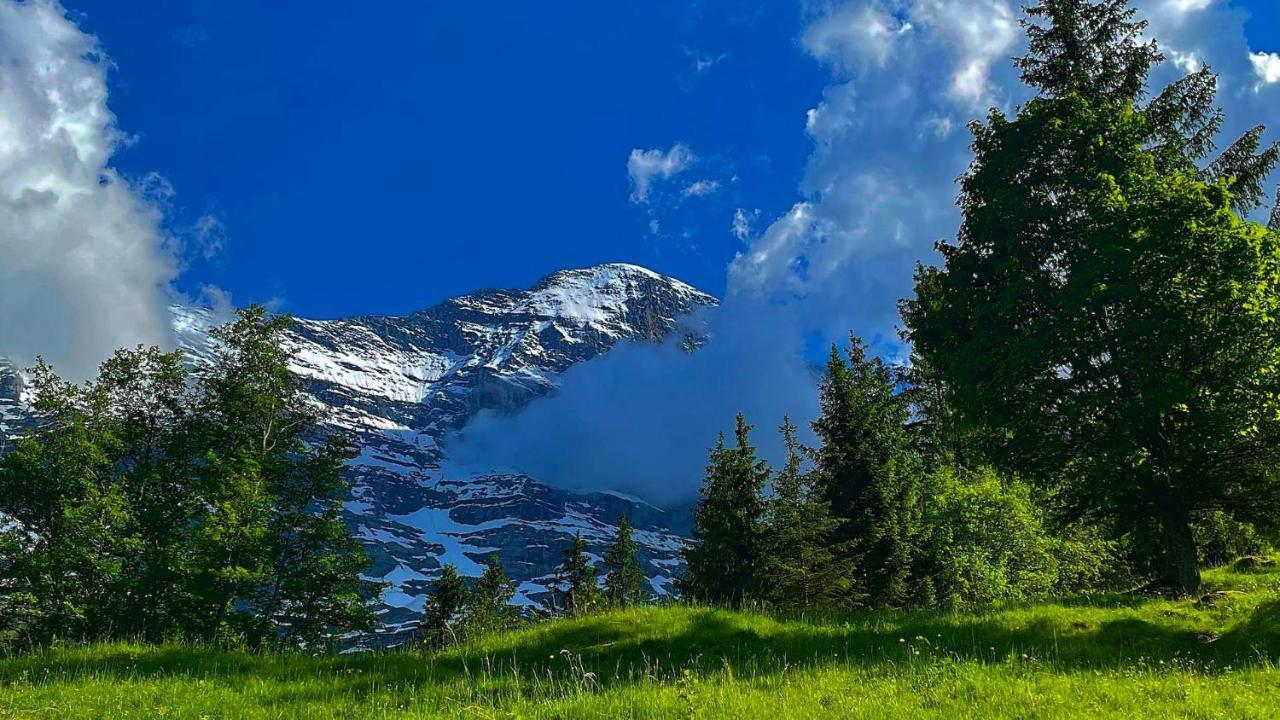 Romantisches Plaetzchen In Der Natur Grindelwald Buitenkant foto