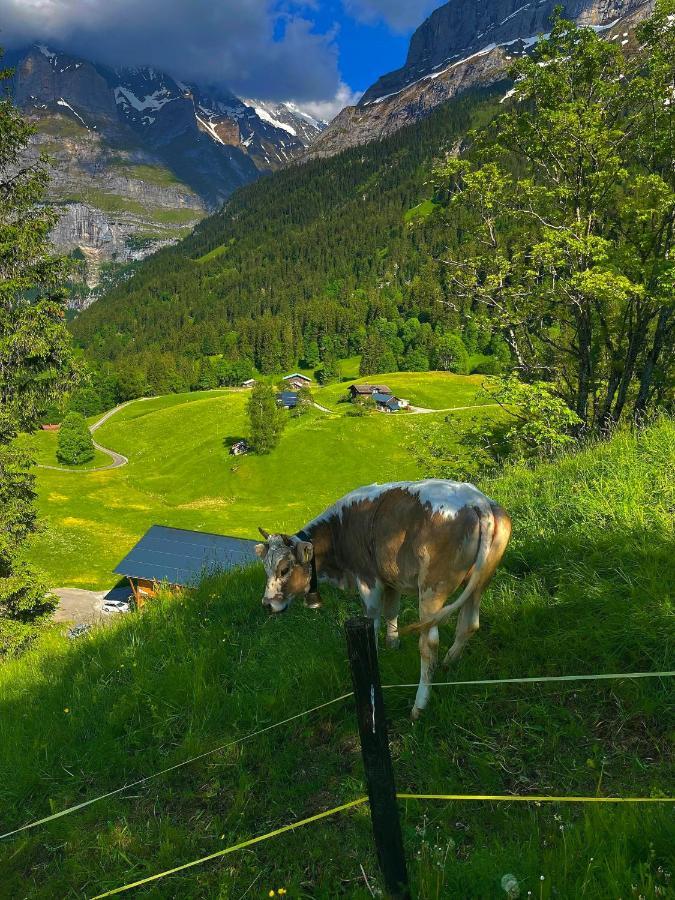 Romantisches Plaetzchen In Der Natur Grindelwald Buitenkant foto