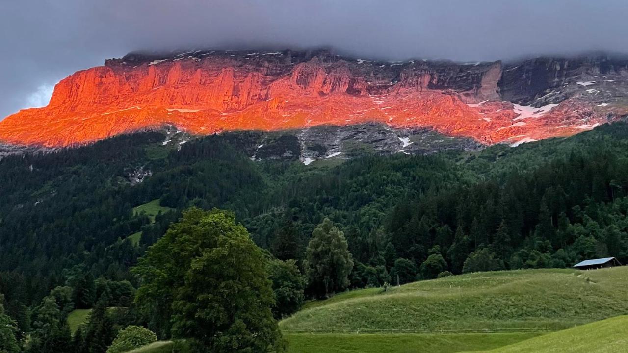 Romantisches Plaetzchen In Der Natur Grindelwald Buitenkant foto