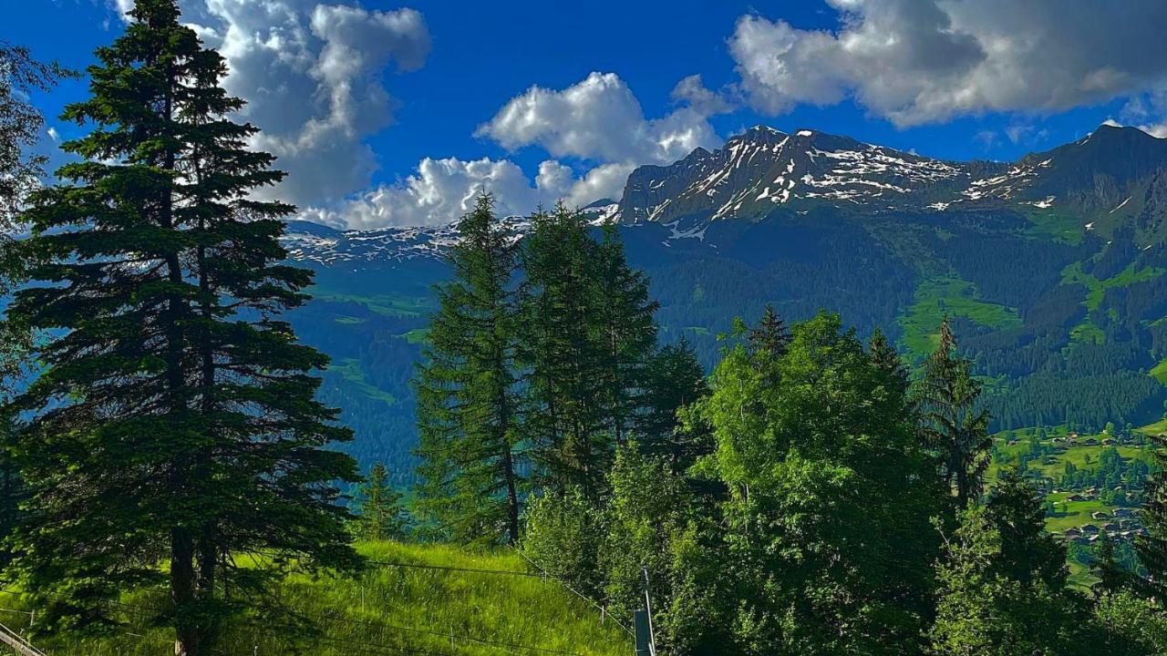 Romantisches Plaetzchen In Der Natur Grindelwald Buitenkant foto