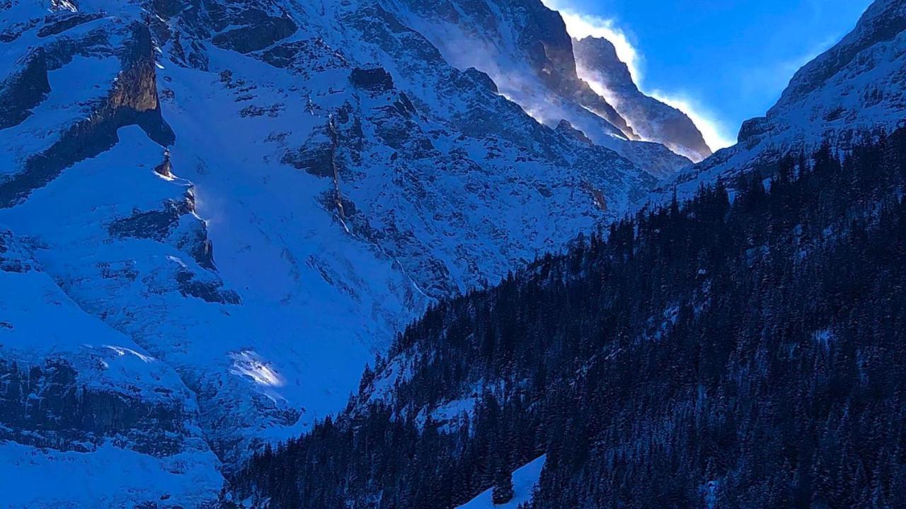 Romantisches Plaetzchen In Der Natur Grindelwald Buitenkant foto