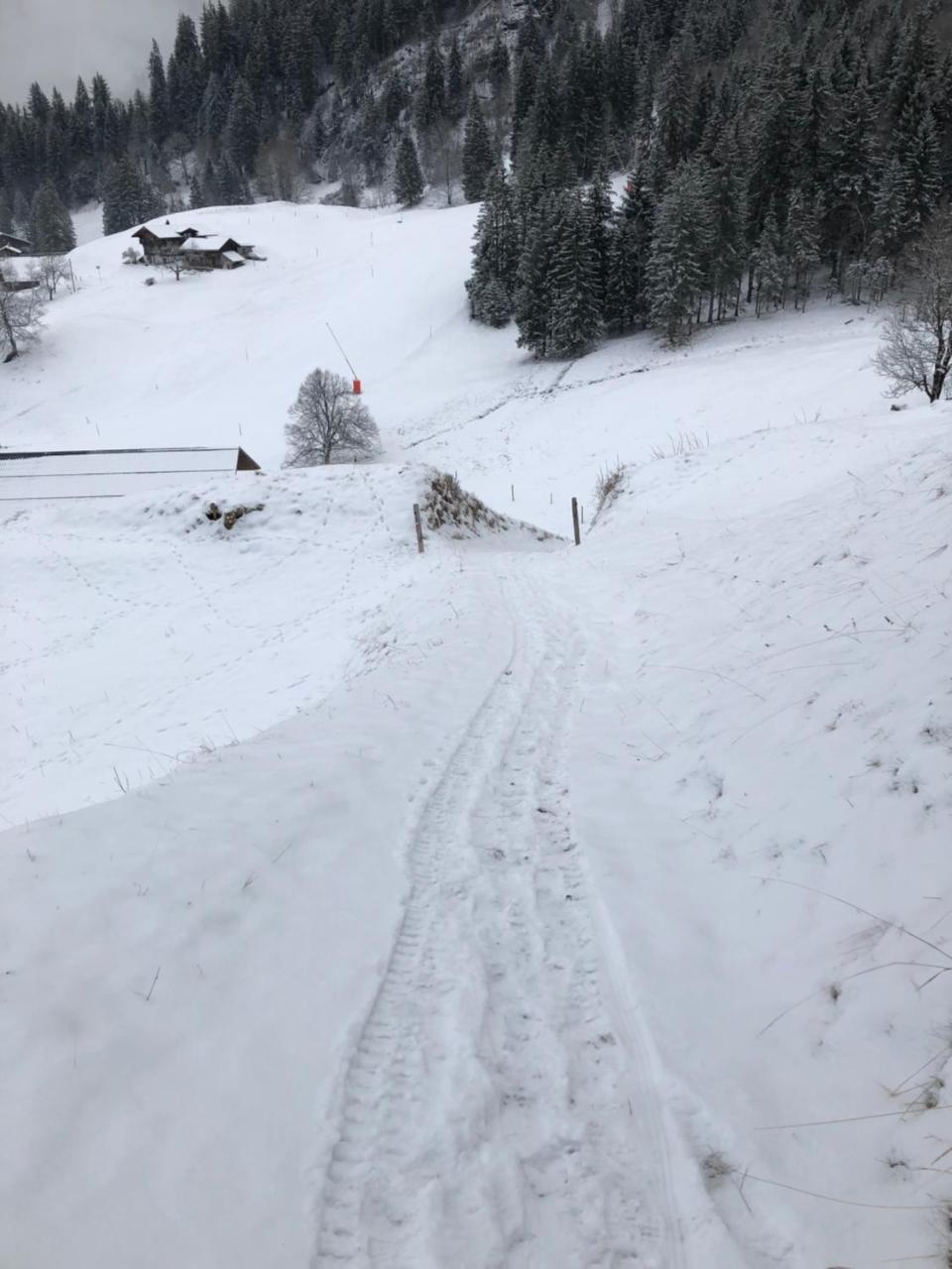 Romantisches Plaetzchen In Der Natur Grindelwald Buitenkant foto