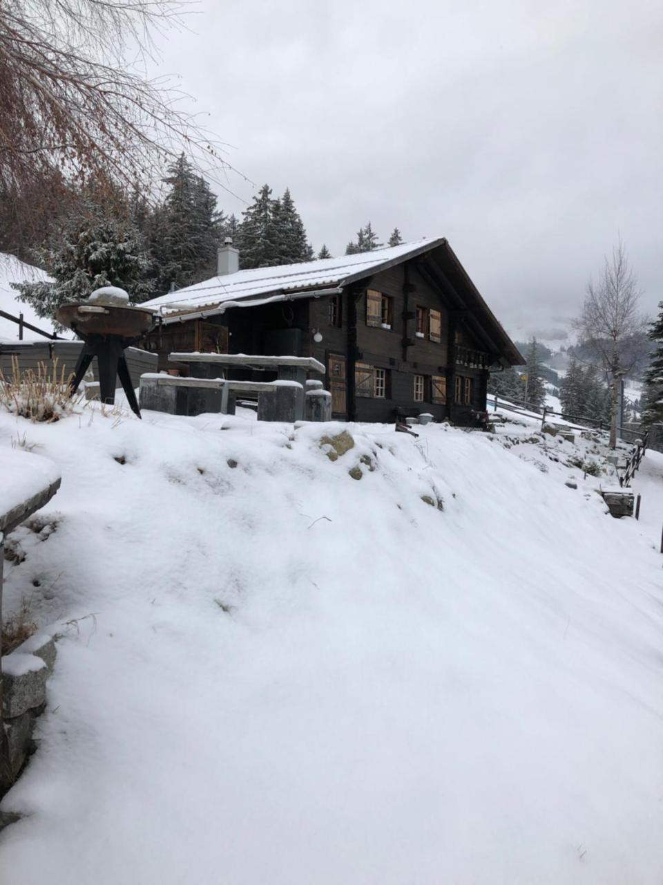 Romantisches Plaetzchen In Der Natur Grindelwald Buitenkant foto