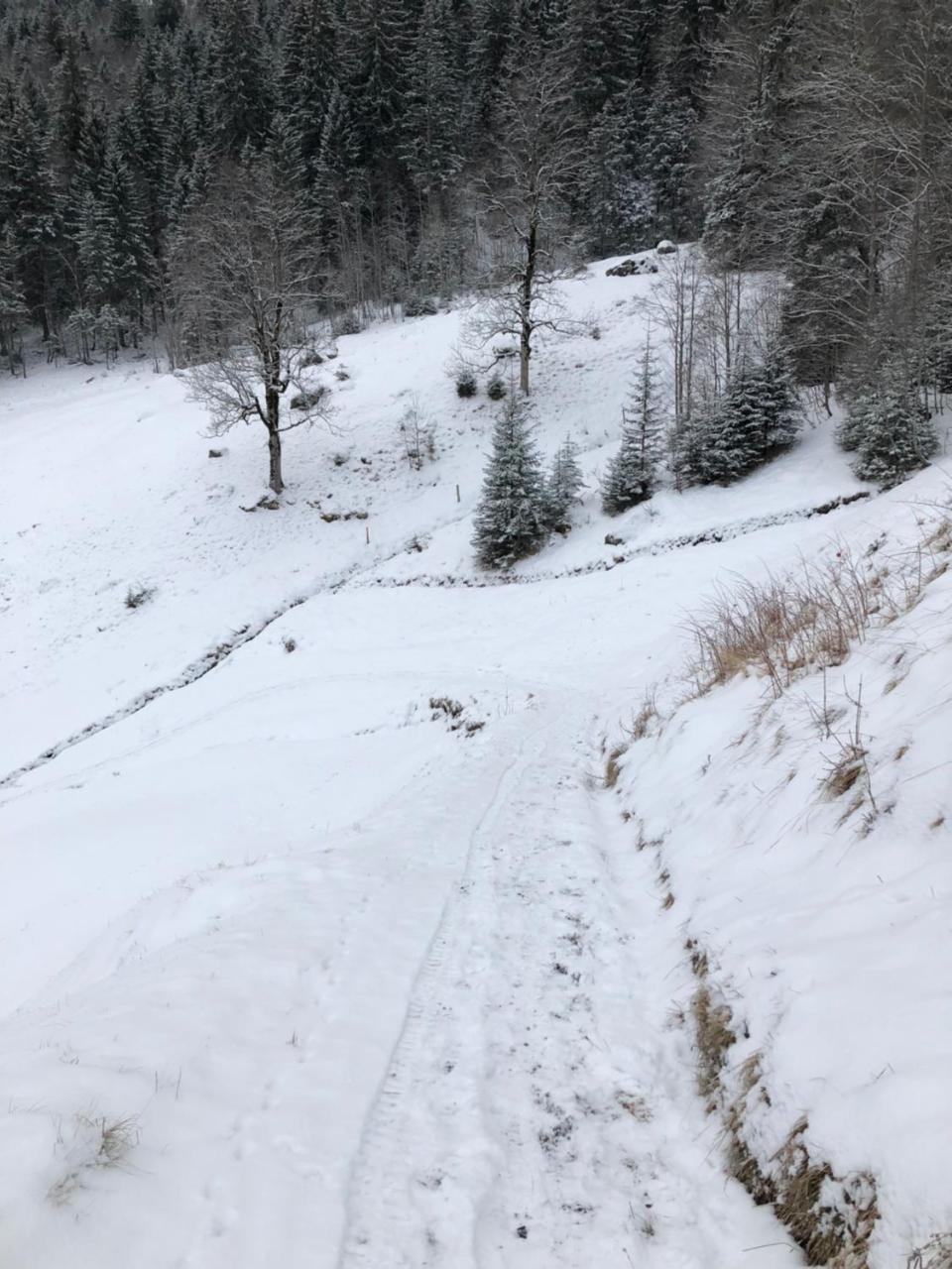 Romantisches Plaetzchen In Der Natur Grindelwald Buitenkant foto