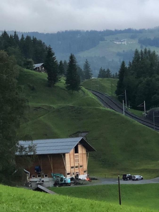 Romantisches Plaetzchen In Der Natur Grindelwald Buitenkant foto